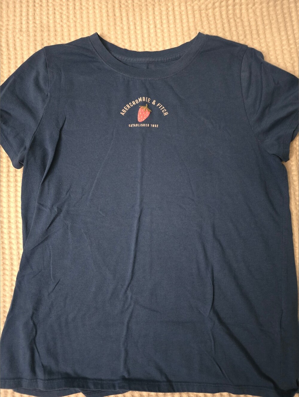 Abercrombie & Fitch Blue Graphic Tee